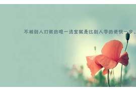 清原调查公司